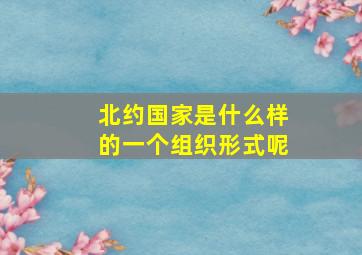 北约国家是什么样的一个组织形式呢