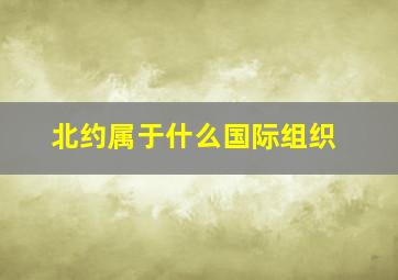 北约属于什么国际组织