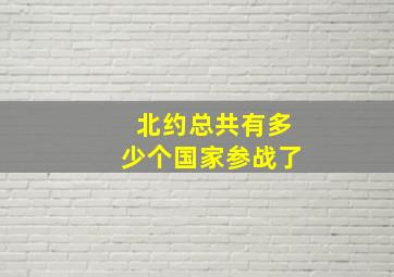 北约总共有多少个国家参战了