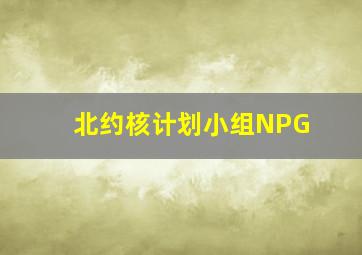 北约核计划小组NPG