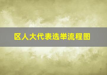 区人大代表选举流程图