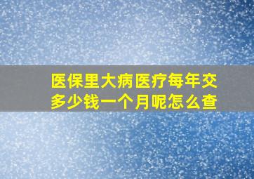 医保里大病医疗每年交多少钱一个月呢怎么查