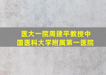 医大一院周建平教授中国医科大学附属第一医院