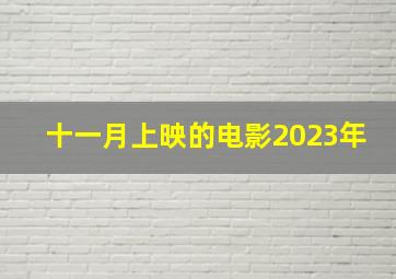 十一月上映的电影2023年