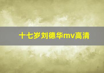 十七岁刘德华mv高清