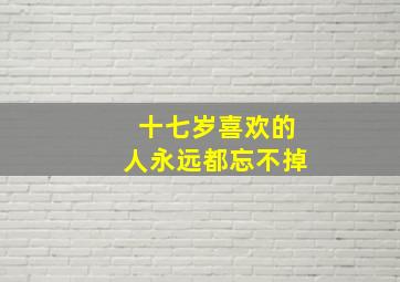 十七岁喜欢的人永远都忘不掉