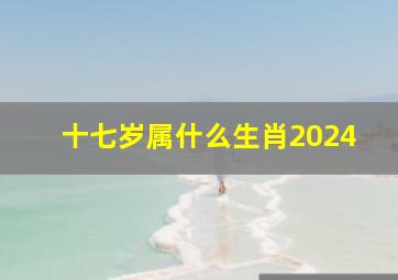 十七岁属什么生肖2024