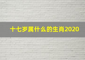 十七岁属什么的生肖2020