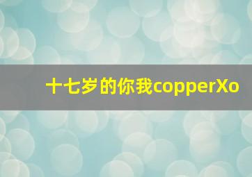 十七岁的你我copperXo