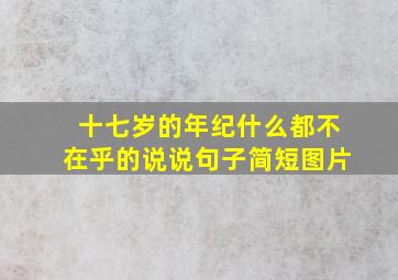 十七岁的年纪什么都不在乎的说说句子简短图片