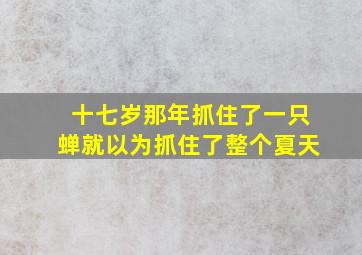 十七岁那年抓住了一只蝉就以为抓住了整个夏天