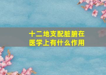 十二地支配脏腑在医学上有什么作用