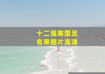 十二强赛国足名单图片高清