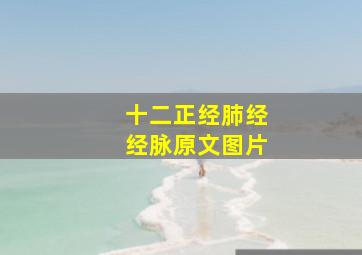 十二正经肺经经脉原文图片