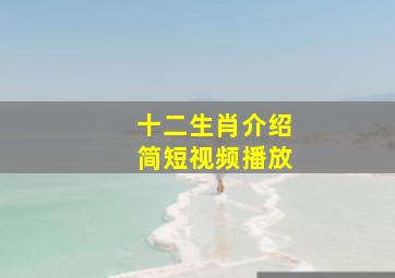 十二生肖介绍简短视频播放