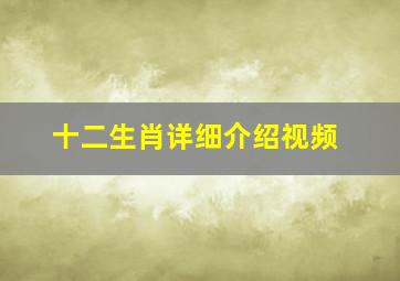 十二生肖详细介绍视频