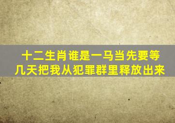 十二生肖谁是一马当先要等几天把我从犯罪群里释放出来