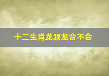 十二生肖龙跟龙合不合