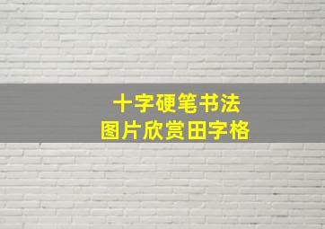 十字硬笔书法图片欣赏田字格