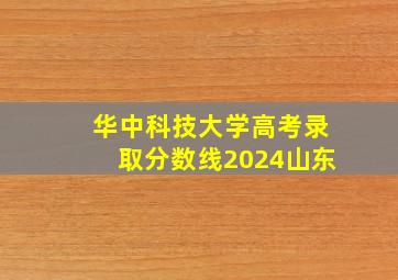 华中科技大学高考录取分数线2024山东