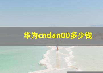 华为cndan00多少钱