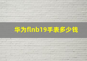 华为flnb19手表多少钱