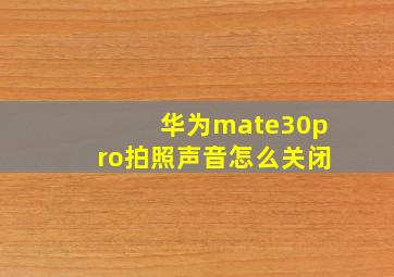 华为mate30pro拍照声音怎么关闭