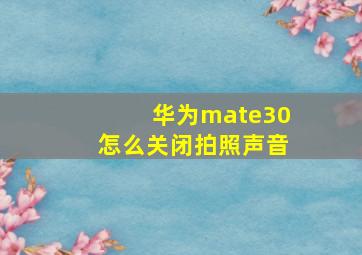 华为mate30怎么关闭拍照声音