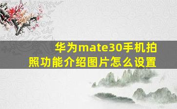 华为mate30手机拍照功能介绍图片怎么设置