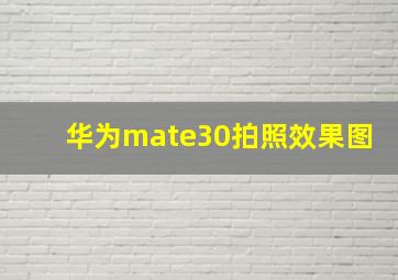 华为mate30拍照效果图