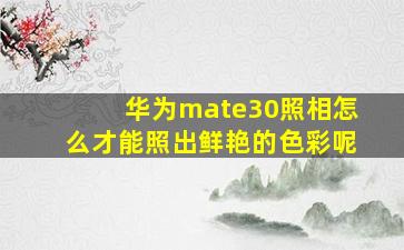 华为mate30照相怎么才能照出鲜艳的色彩呢