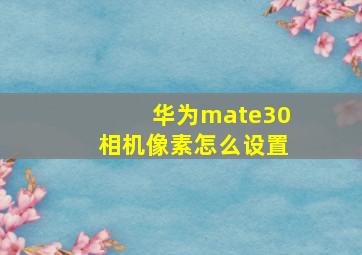 华为mate30相机像素怎么设置