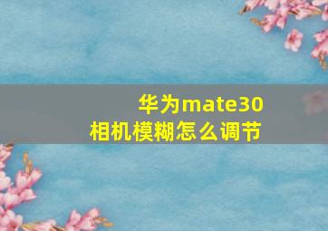 华为mate30相机模糊怎么调节