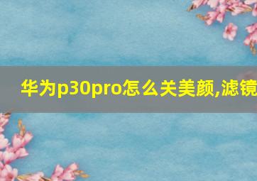 华为p30pro怎么关美颜,滤镜