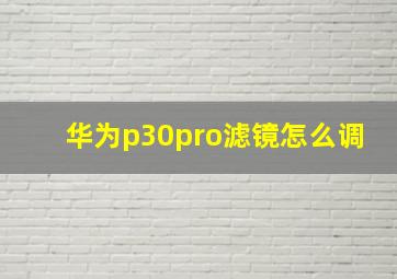 华为p30pro滤镜怎么调