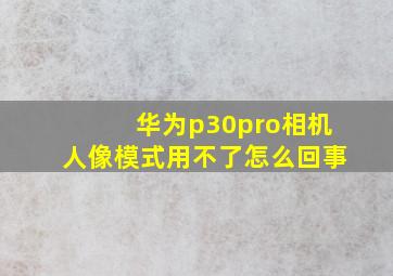 华为p30pro相机人像模式用不了怎么回事