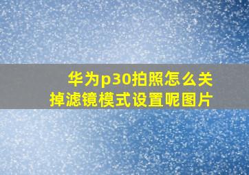 华为p30拍照怎么关掉滤镜模式设置呢图片