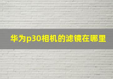 华为p30相机的滤镜在哪里