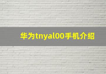 华为tnyal00手机介绍