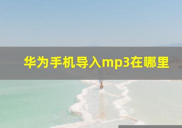 华为手机导入mp3在哪里