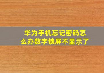 华为手机忘记密码怎么办数字锁屏不显示了