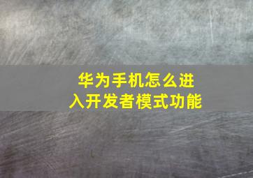 华为手机怎么进入开发者模式功能