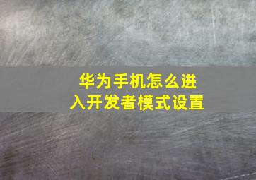 华为手机怎么进入开发者模式设置