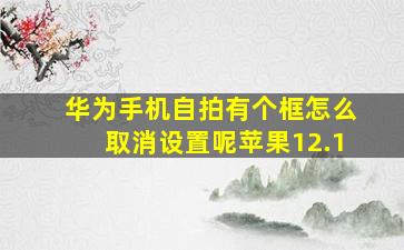 华为手机自拍有个框怎么取消设置呢苹果12.1