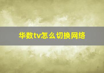 华数tv怎么切换网络