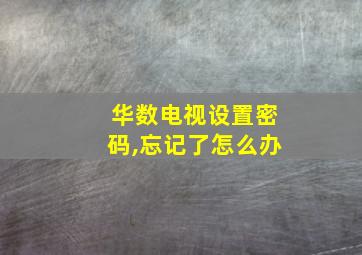 华数电视设置密码,忘记了怎么办