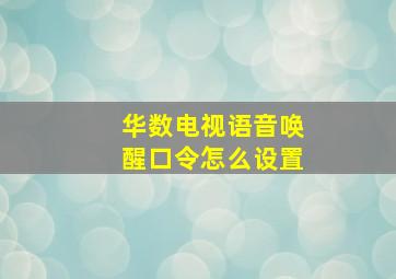 华数电视语音唤醒口令怎么设置