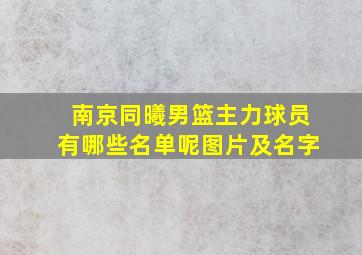 南京同曦男篮主力球员有哪些名单呢图片及名字