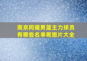 南京同曦男篮主力球员有哪些名单呢图片大全