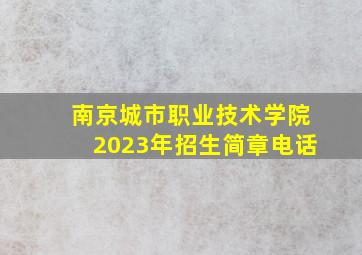 南京城市职业技术学院2023年招生简章电话